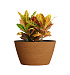 Кашпо CONCRETIKA BOWL EROSIA OCHRE D80H45 заказать и купить с доставкой из магазина производителя Конкретика по цене 33 150 руб.