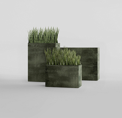 Кашпо CONCRETIKA DIVIDER CAYMAN GREEN 60x35x80 заказать и купить Кашпо CONCRETIKA DIVIDER CAYMAN GREEN 60x35x80 заказать и купить по цене 44 370 руб ниже рынка от производителя с доставкой.