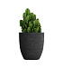 Кашпо CONCRETIKA VASE 3 EROSIA BLACK D50H55 заказать и купить с доставкой из магазина производителя Конкретика по цене 22 950 руб.