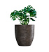 Кашпо CONCRETIKA VASE 3 TAUPE CONCRETE D75H82 заказать и купить с доставкой из магазина производителя Конкретика по цене 60 680 руб.