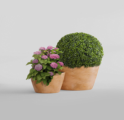 Кашпо CONCRETIKA BOWL CLASSIC CLAY D52H29 заказать и купить Кашпо CONCRETIKA BOWL CLASSIC CLAY D52H29 заказать и купить по цене 12 530 руб ниже рынка от производителя с доставкой.