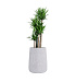 Кашпо CONCRETIKA CONE EGG WHITE D38H60 заказать и купить с доставкой из магазина производителя Конкретика по цене 21 070 руб.