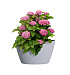 Кашпо CONCRETIKA BOWL EROSIA WHITE D52H29 заказать и купить с доставкой из магазина производителя Конкретика по цене 12 760 руб.