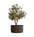 Кашпо CONCRETIKA CYLINDER XL EROSIA BROWN D70H45 заказать и купить с доставкой из магазина производителя Конкретика по цене 35 710 руб.