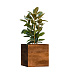 Кашпо CONCRETIKA CUBE CAYMAN BROWN 70x70x70 заказать и купить с доставкой из магазина производителя Конкретика по цене 62 990 руб.