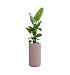 Кашпо CONCRETIKA TOPPER COCOA D40H90 заказать и купить с доставкой из магазина производителя Конкретика по цене 26 610 руб.