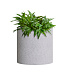Кашпо CONCRETIKA CYLINDER EGG WHITE D25H25 заказать и купить с доставкой из магазина производителя Конкретика по цене 5 540 руб.