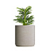 Кашпо CONCRETIKA CYLINDER XL EROSIA YELLOW D100H105 заказать и купить с доставкой из магазина производителя Конкретика по цене 103 290 руб.