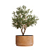 Кашпо CONCRETIKA CYLINDER XL CLASSIC CLAY D70H45 заказать и купить с доставкой из магазина производителя Конкретика по цене 35 090 руб.