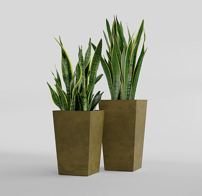 Кашпо CONCRETIKA CONIC AVOCADO 40x40x70 заказать и купить Кашпо CONCRETIKA CONIC AVOCADO 40x40x70 заказать и купить по цене 27 570 руб ниже рынка от производителя с доставкой.