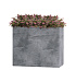 Кашпо CONCRETIKA DIVIDER CONCRETE GREY LIGHT 60x30x50 заказать и купить с доставкой из магазина производителя Конкретика по цене 29 280 руб.