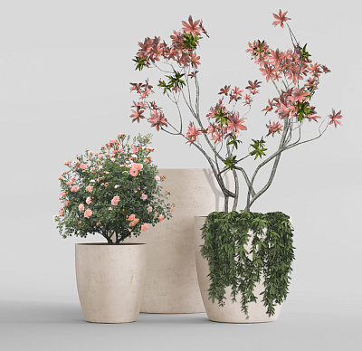 Кашпо CONCRETIKA VASE 3 CONCRETE WHITE D50H55 заказать и купить Кашпо CONCRETIKA VASE 3 CONCRETE WHITE D50H55 заказать и купить по цене 23 950 руб ниже рынка от производителя с доставкой.