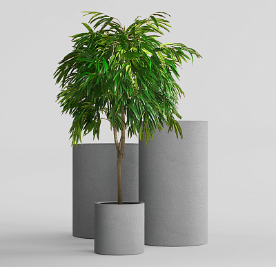 Кашпо CONCRETIKA CYLINDER LONDON GREY D60H90 заказать и купить Кашпо CONCRETIKA CYLINDER LONDON GREY D60H90 заказать и купить по цене 52 670 руб ниже рынка от производителя с доставкой.