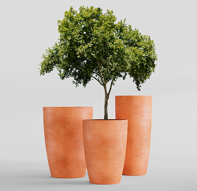 Кашпо CONCRETIKA CONUS RED CLAY D41H57 заказать и купить Кашпо CONCRETIKA CONUS RED CLAY D41H57 заказать и купить по цене 17 540 руб ниже рынка от производителя с доставкой.