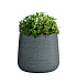 Кашпо CONCRETIKA CONE EROSIA GREY D32H36 заказать и купить с доставкой из магазина производителя Конкретика по цене 11 730 руб.