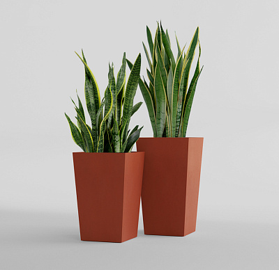 Кашпо CONCRETIKA CONIC TERRACOTTA 30x30x50 заказать и купить Кашпо CONCRETIKA CONIC TERRACOTTA 30x30x50 заказать и купить по цене 13 310 руб ниже рынка от производителя с доставкой.