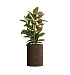 Кашпо CONCRETIKA CYLINDER EROSIA BROWN D50H65 заказать и купить с доставкой из магазина производителя Конкретика по цене 31 890 руб.