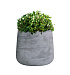 Кашпо CONCRETIKA CONE CONCRETE GREY LIGHT D32H36 заказать и купить с доставкой из магазина производителя Конкретика по цене 12 240 руб.