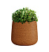 Кашпо CONCRETIKA CONE EROSIA OCHRE D32H36 заказать и купить с доставкой из магазина производителя Конкретика по цене 11 730 руб.