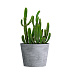 Кашпо CONCRETIKA CRATER CONCRETE GREY LIGHT D60H50 заказать и купить с доставкой из магазина производителя Конкретика по цене 26 610 руб.