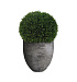 Кашпо CONCRETIKA BARREL CONCRETE GREY DARK D44H48 заказать и купить с доставкой из магазина производителя Конкретика по цене 18 630 руб.