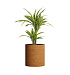 Кашпо CONCRETIKA CYLINDER EROSIA OCHRE D60H65 заказать и купить с доставкой из магазина производителя Конкретика по цене 35 700 руб.