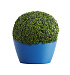 Кашпо CONCRETIKA BOWL DARK BLUE D65H36 заказать и купить с доставкой из магазина производителя Конкретика по цене 16 630 руб.