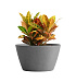 Кашпо CONCRETIKA BOWL LONDON GREY D80H45 заказать и купить с доставкой из магазина производителя Конкретика по цене 28 830 руб.