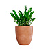 Кашпо CONCRETIKA VASE 3 RED CLAY D60H65 заказать и купить с доставкой из магазина производителя Конкретика по цене 38 510 руб.