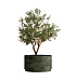 Кашпо CONCRETIKA CYLINDER XL CAYMAN GREEN D70H45 заказать и купить с доставкой из магазина производителя Конкретика по цене 35 710 руб.
