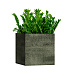 Кашпо CONCRETIKA CUBE CAYMAN GREEN 60x60x60 заказать и купить с доставкой из магазина производителя Конкретика по цене 37 130 руб.