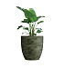 Кашпо CONCRETIKA VASE 3 CAYMAN GREEN D90H95 заказать и купить с доставкой из магазина производителя Конкретика по цене 89 520 руб.