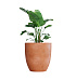 Кашпо CONCRETIKA VASE 3 RED CLAY D90H95 заказать и купить с доставкой из магазина производителя Конкретика по цене 87 960 руб.