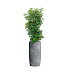 Кашпо CONCRETIKA CIGAR CONCRETE GREY LIGHT D37H78 заказать и купить с доставкой из магазина производителя Конкретика по цене 26 080 руб.