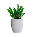 Кашпо CONCRETIKA VASE 3 EGG WHITE D60H65 заказать и купить с доставкой из магазина производителя Конкретика по цене 34 050 руб.