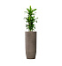 Кашпо CONCRETIKA YAR SMOKEY GREY D46H110 заказать и купить с доставкой из магазина производителя Конкретика по цене 45 240 руб.