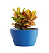 Кашпо CONCRETIKA BOWL DARK BLUE D80H45 заказать и купить с доставкой из магазина производителя Конкретика по цене 28 830 руб.