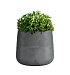 Кашпо CONCRETIKA CONE SMOKEY BLUE D32H36 заказать и купить с доставкой из магазина производителя Конкретика по цене 12 240 руб.