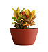 Кашпо CONCRETIKA BOWL TERRACOTTA D80H45 заказать и купить с доставкой из магазина производителя Конкретика по цене 28 830 руб.