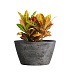 Кашпо CONCRETIKA BOWL CONCRETE GREY DARK D80H45 заказать и купить с доставкой из магазина производителя Конкретика по цене 34 600 руб.