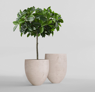 Кашпо CONCRETIKA BARREL CONCRETE WHITE D41H60 заказать и купить по цене 22 620 руб ниже рынка от производителя с доставкой.