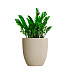 Кашпо CONCRETIKA VASE 3 SAHARA D60H65 заказать и купить с доставкой из магазина производителя Конкретика по цене 34 050 руб.