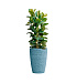 Кашпо CONCRETIKA CONUS EROSIA BLUE D41H57 заказать и купить с доставкой из магазина производителя Конкретика по цене 17 850 руб.
