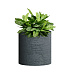 Кашпо CONCRETIKA CYLINDER EROSIA GREY D30H30 заказать и купить с доставкой из магазина производителя Конкретика по цене 10 200 руб.