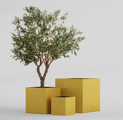 Кашпо CONCRETIKA CUBE GOLD 50x50x50 заказать и купить Кашпо CONCRETIKA CUBE GOLD 50x50x50 заказать и купить по цене 25 920 руб ниже рынка от производителя с доставкой.