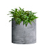 Кашпо CONCRETIKA CYLINDER CONCRETE GREY LIGHT D25H25 заказать и купить с доставкой из магазина производителя Конкретика по цене 6 650 руб.