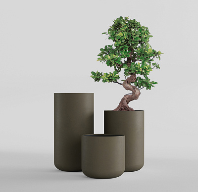 Кашпо CONCRETIKA TOPPER OLIVE D40H40 заказать и купить Кашпо CONCRETIKA TOPPER OLIVE D40H40 заказать и купить по цене 12 420 руб ниже рынка от производителя с доставкой.