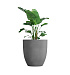 Кашпо CONCRETIKA VASE 3 LONDON GREY D90H95 заказать и купить с доставкой из магазина производителя Конкретика по цене 77 840 руб.