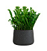Кашпо CONCRETIKA CONE EGG BLACK D60H42 заказать и купить с доставкой из магазина производителя Конкретика по цене 24 390 руб.