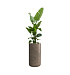 Кашпо CONCRETIKA TOPPER SMOKEY GREY D40H90 заказать и купить с доставкой из магазина производителя Конкретика по цене 31 930 руб.